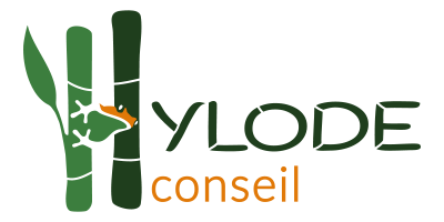Logo Hylode Conseil - Communication design interfaces mdezign