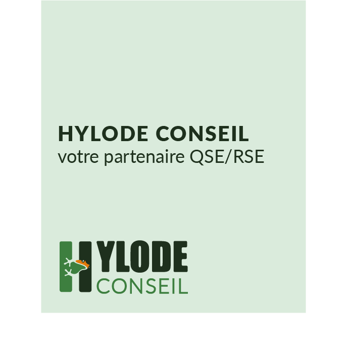 carte visite Hylode Conseil | Identité visuelle | mdezign