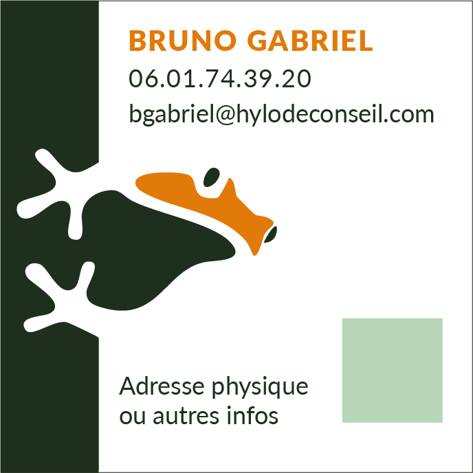 carte visite Hylode partie 4 Conseil | Identité visuelle | mdezign