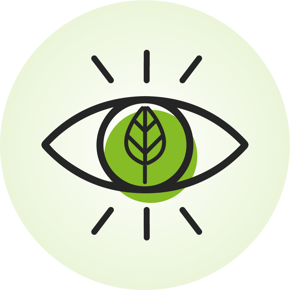 icone sur-mesure ATVR 4