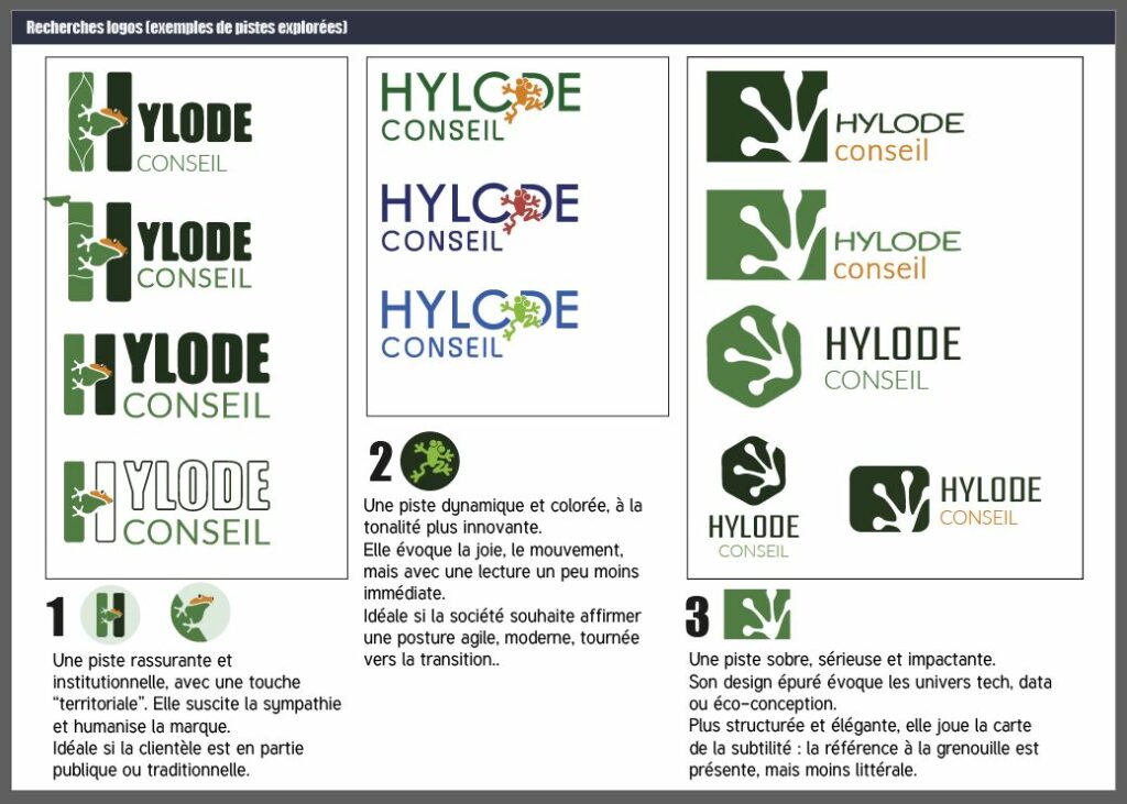 brainstorming Hylode Conseil | mdezign partie 2